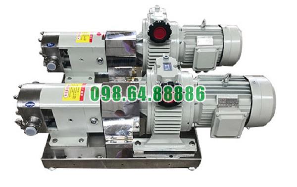 Máy bơm cánh khế 3RP-5 lưu lượng 3 m3/h áp suất 0.6 MPa đường kính kết nối 25 mm