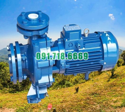 Máy bơm nước li tâm trục ngang CM50-250C đường thoát 40 mm